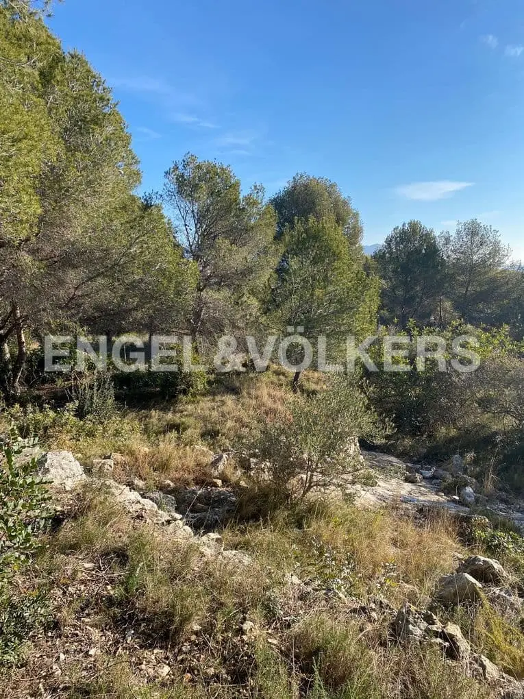 Solar en Sitges con 1000m2 para casa de 500m2