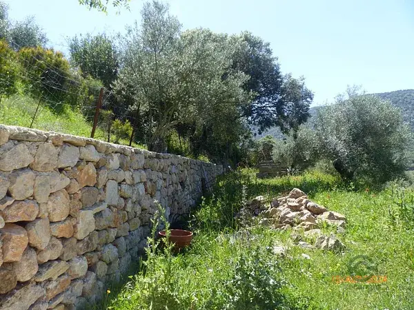 Finca Rustica en Ronda con Olivar 124ha