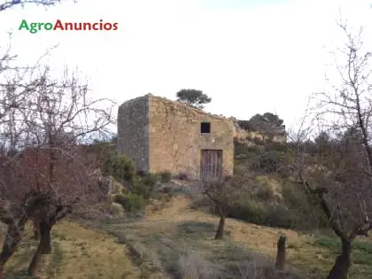 Venta  de Finca con almendros y arbolado en Tarragona