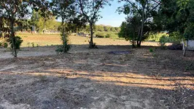 Finca Rustica en Venta cerca Jerez