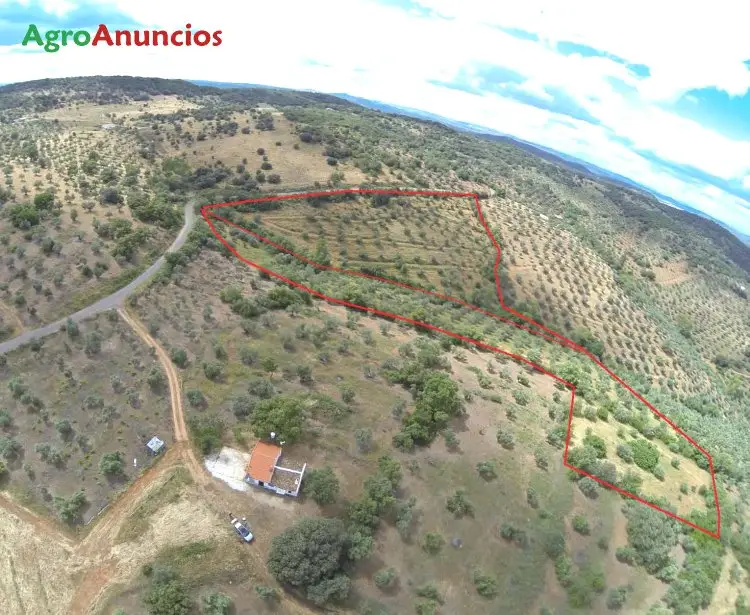 Venta  de Finca de frutales en Córdoba