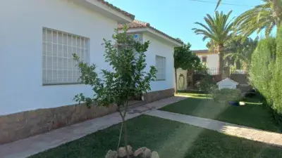 Casa en alquiler en Calle del Pino Sol