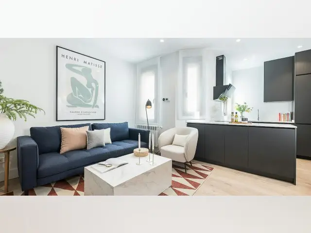 Apartamento 1 Dormitorio Madrid Centro Amueblado Mascotas