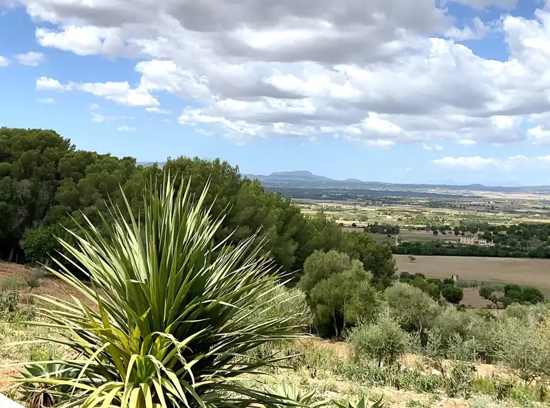 Finca/Casa Rural en alquiler en Manacor, Mallorca