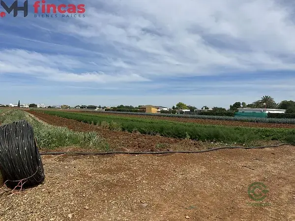 Alquiler Terreno Agricola Sevilla 8800m²
