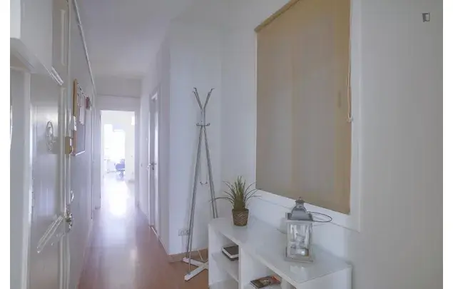 Alquiler Apartamento 4 Dormitorios Barcelona Erasmus