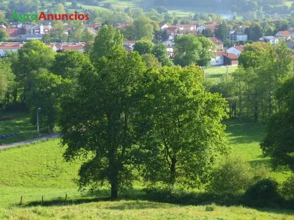 Venta  de Finca rústica en Cantabria