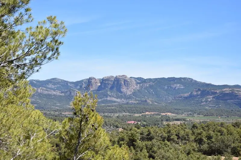 Venta Terreno Rustico Lledo 7841m2 Vistas Inmejorables