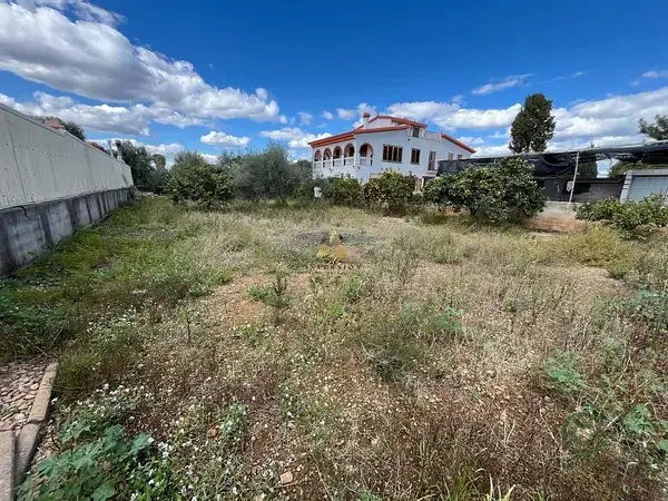 Terreno con árboles frutales en Benicarló - 792m²