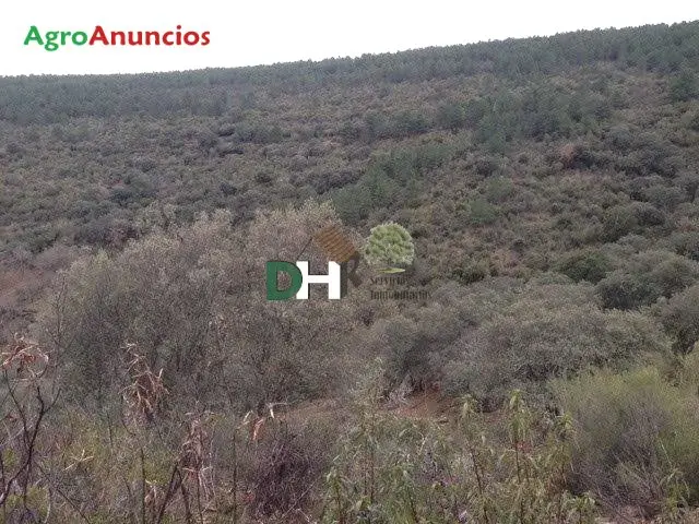 Venta  de Finca de recreo en Cáceres