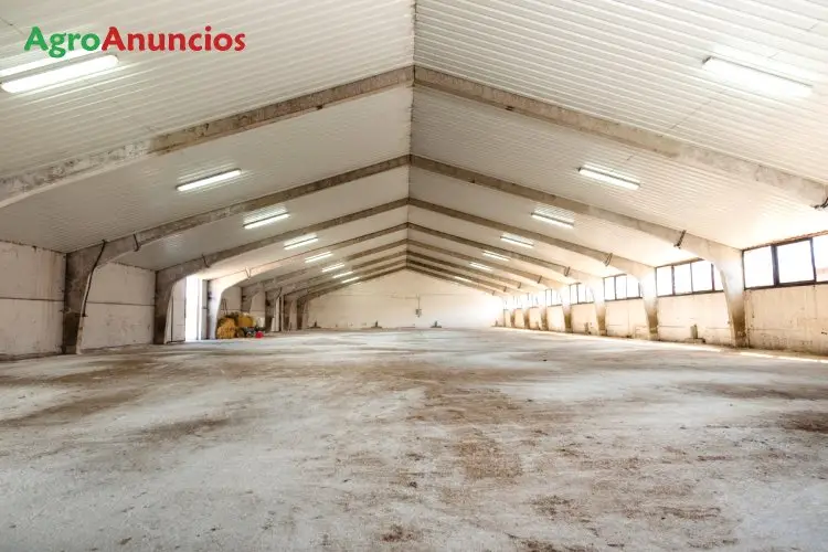 Venta  de Finca con cebadero ovino, vacuno ó cerdos en Madrid