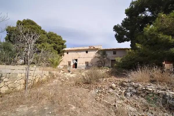 Casa de Campo con Molino de Vino en Monovar 10ha