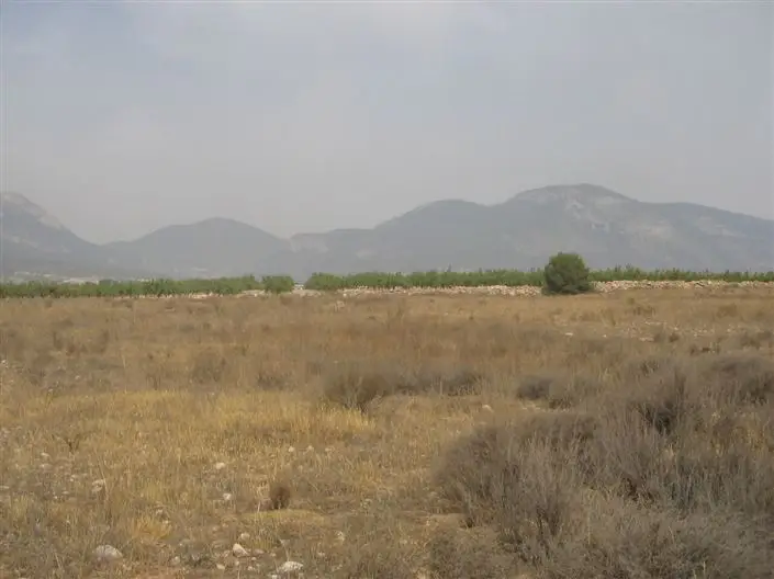 Venta terreno 20029m2 Lorca oportunidad inversores