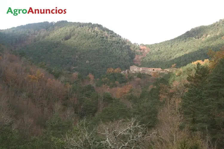 Venta  de Fincas forestales con masías en Girona