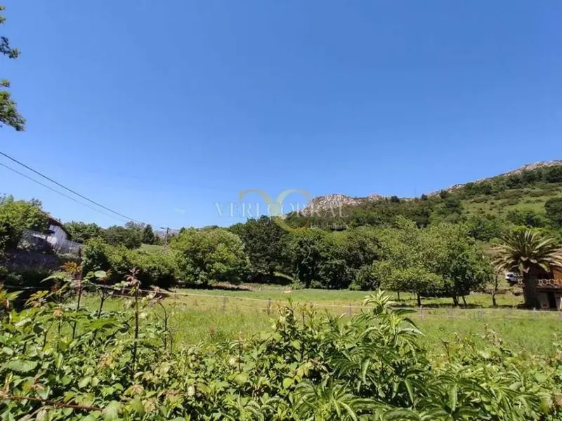 venta Terreno en Castañera (Parres), Asturias (RI2737)- Globaliza