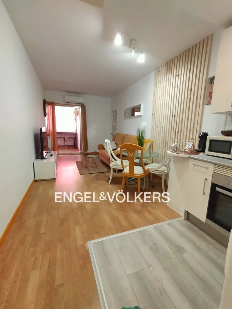 Apartamento Reformado Santiago Bernabeu Madrid