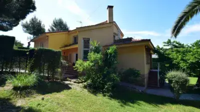 Chalet en Venta Pinares Llanos con Piscina y Gran Jardin