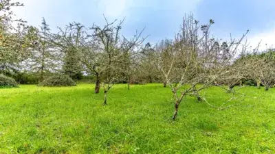 Casa Rural con Terreno en Coristanco