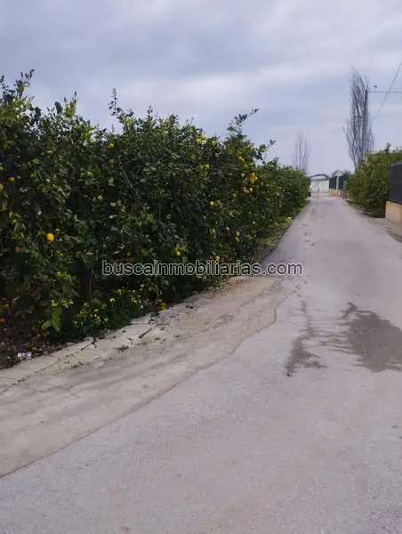 Parcela Rustica en Venta El Raal Murcia 5562m2 Limoneros