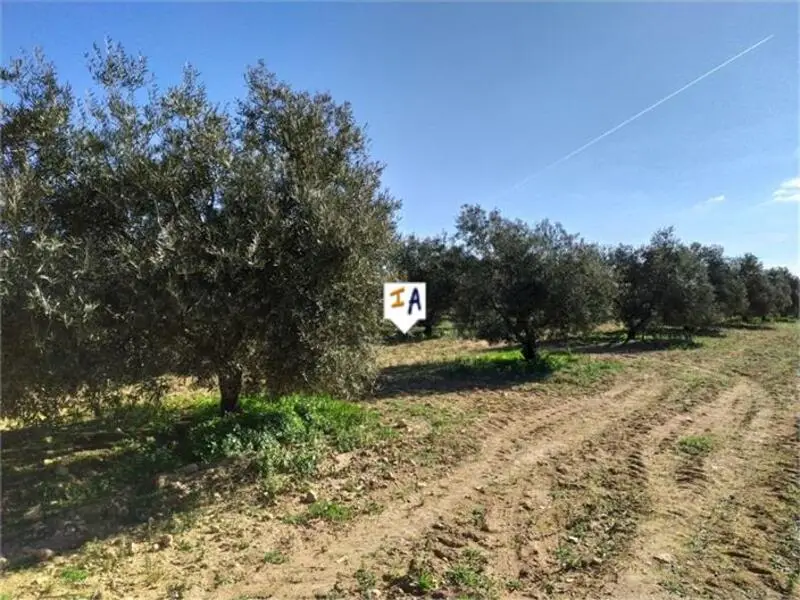 Terrenos Agricolas en Venta cerca Fuente Piedra 27062m2