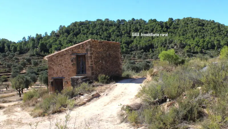 Casa Rural en Maella con 29 Hectareas