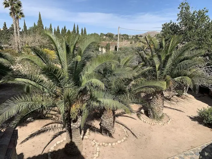 Villa 3 Dormitorios Novelda - Jardin Mediterraneo