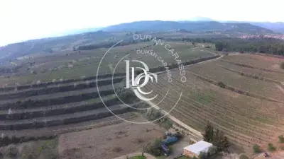 Finca rústica en venta en El Molar