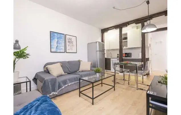Estudio Amueblado 38m2 Madrid Embajadores Gastos Incluidos
