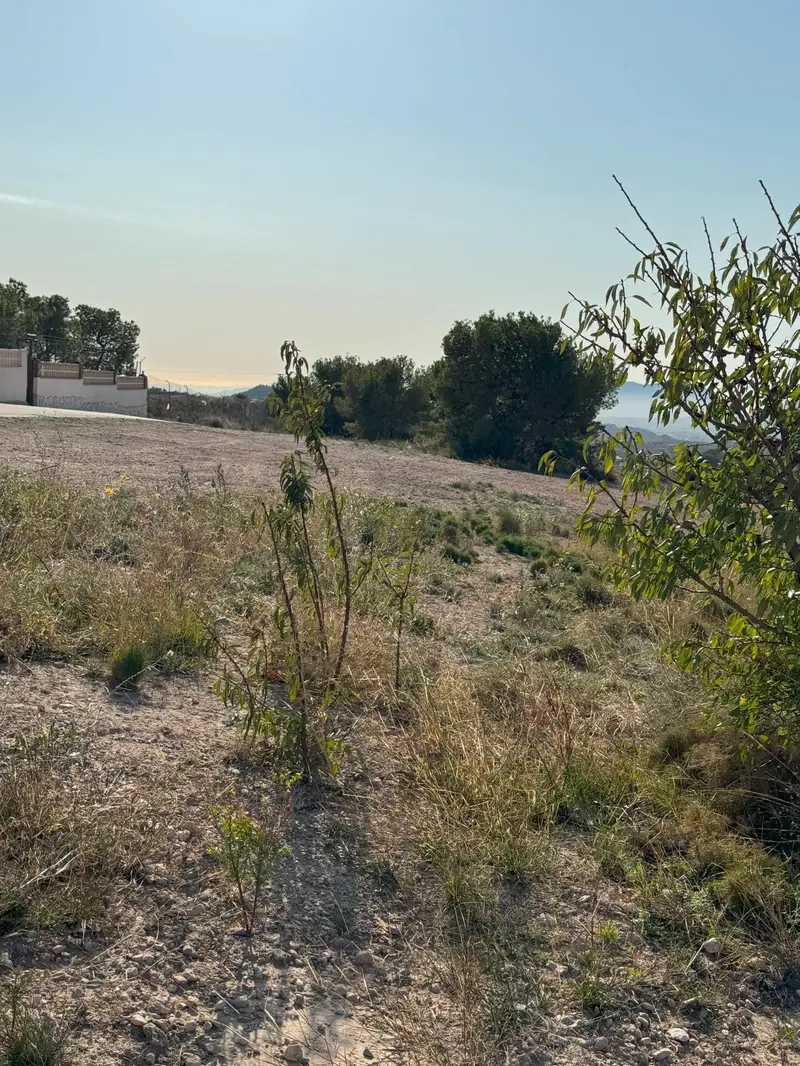 Terreno en Venta Alicante con Proyecto de Casa Incluido