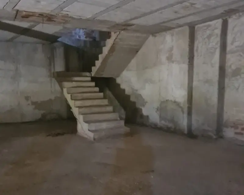 Local Comercial 249.5 m2 Molina de Segura