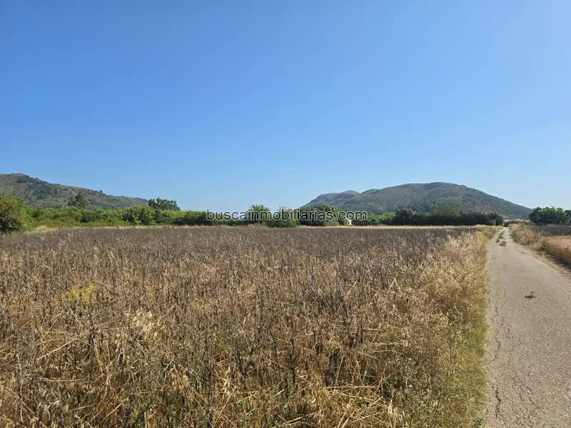 Parcela Rustica en Venta en Sa Pobla con Vistas a la Montana