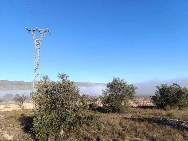 Terreno en Venta en Yecla Murcia 9197m2