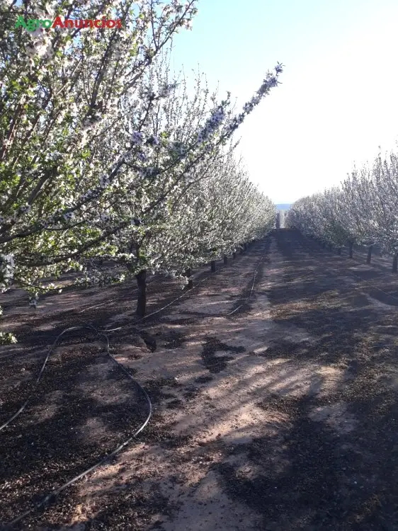 Venta  de Finca rústica en Málaga