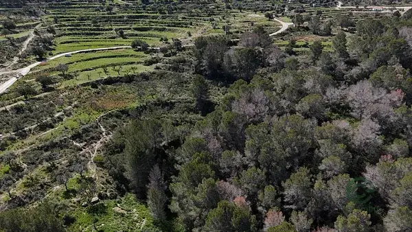Parcela Rustica en Lleus con Vistas