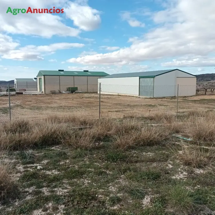 Venta o Alquiler Fincas Ganaderas en Albacete