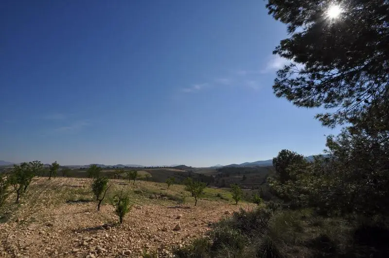 Parcelas en Venta La Zarza Murcia Junto Parque Nacional