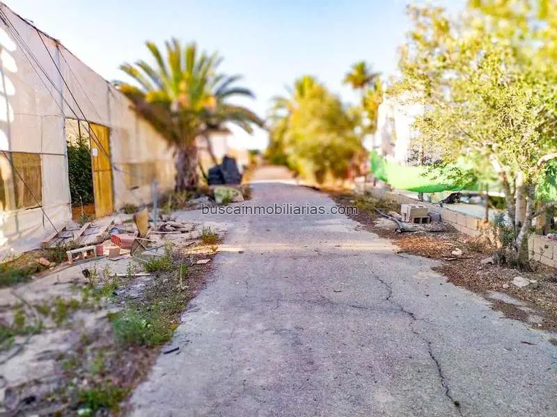 Parcela Rustica en Venta Elche Invernaderos Vivienda
