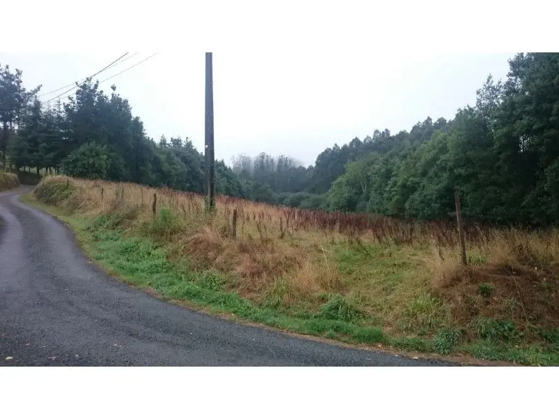 Venta Casa Piedra 130m2 25000m2 Terreno Albariza Santa Cruz