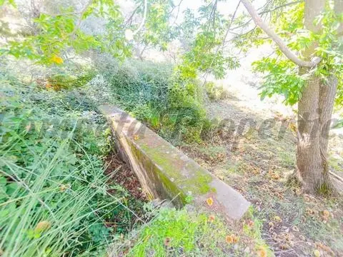 Terreno en venta Canillas de Albaida, España