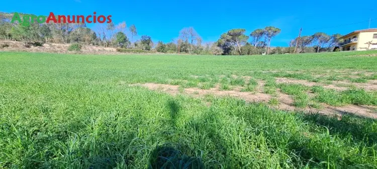 Venta  de Terreno de regadío en Girona