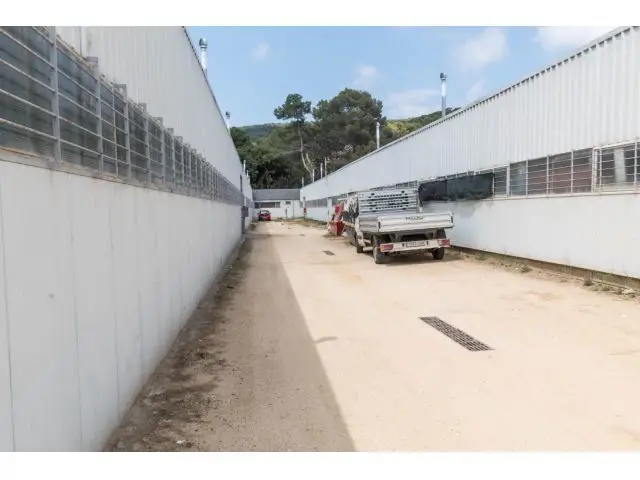 Venta Fincas Rusticas Mataro Alta Rentabilidad Inversión