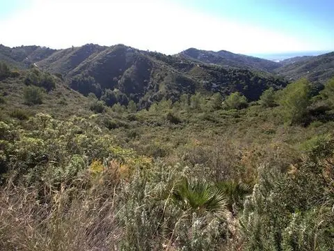 Terreno en Venta cerca de Torrox y Frigiliana