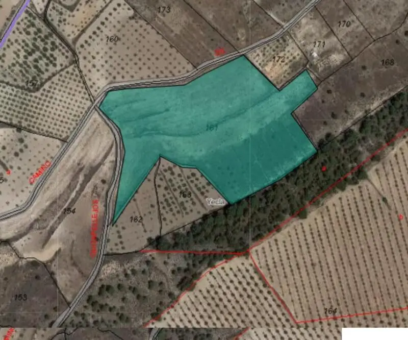 Terreno en Venta Raspay Murcia 31700m2