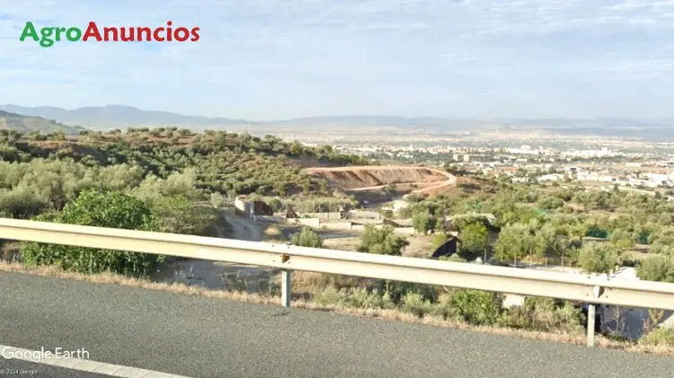 Venta  de Finca de olivar en Granada