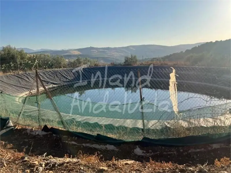 Parcelas Rusticas en Venta Periana Malaga