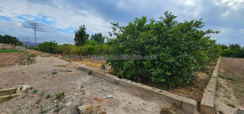 Parcela Rústica en Venta Murcia Llano de Brujas