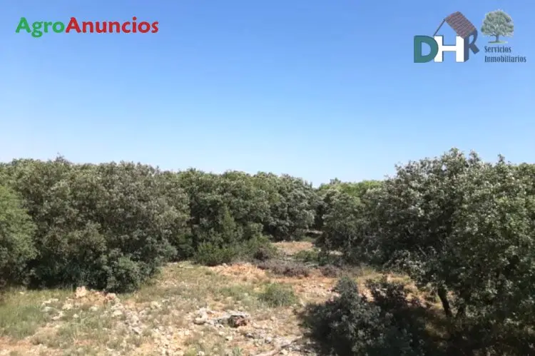 Venta  de Finca de caza con casa en Cuenca