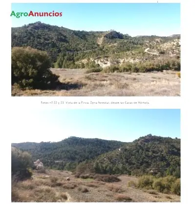 Venta  de Finca de caza mayor en Valencia