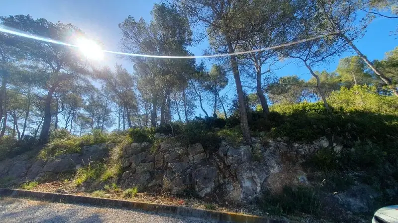 Venta Terreno Les Palmeres Canyelles