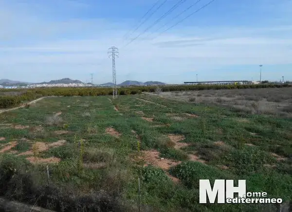 Terreno Agricola en Venta Partida Montiver Valencia